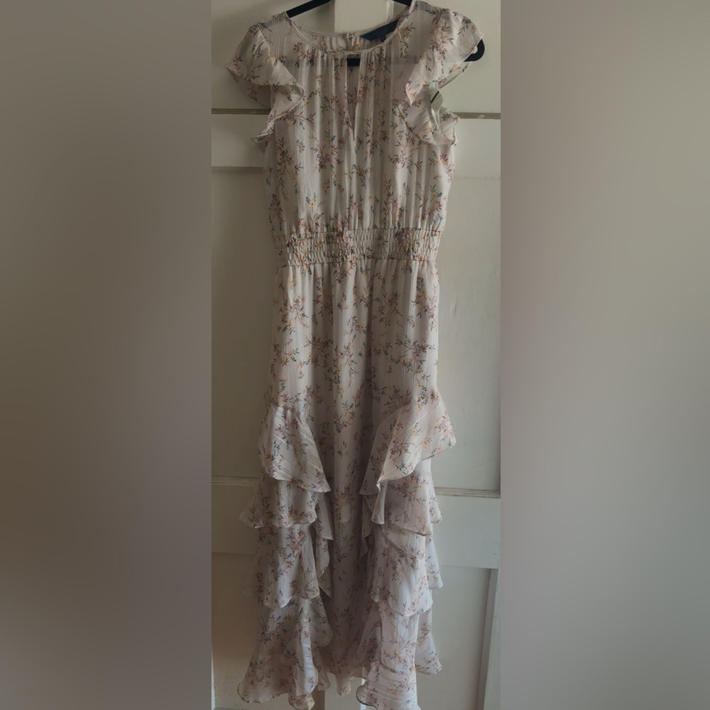 Rachel Roy sz 8 Floral Ruffle Dress with Pockets and Gold Thread throughout